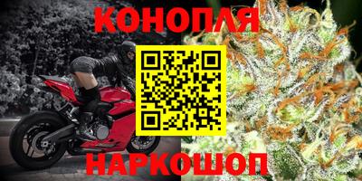 ПСИЛОЦИБИНОВЫЕ ГРИБЫ Тулун