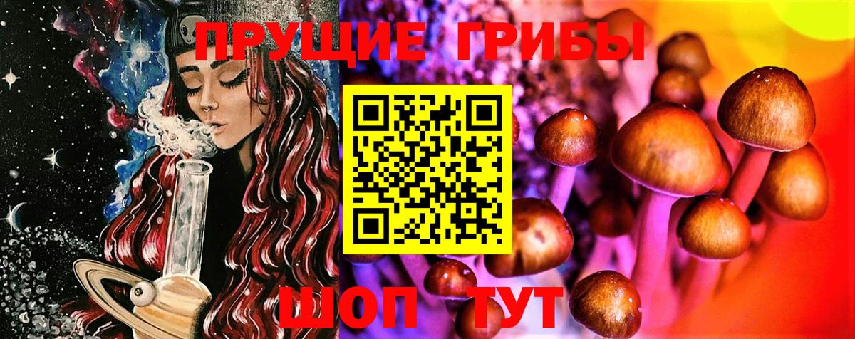 Новоалтайск  Галлюциногенные грибы ЛСД  Вход с VPN 